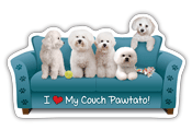 Bichon thumbnail