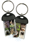 Wildlife thumbnail