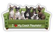 Frenchie thumbnail