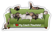 Ferret thumbnail