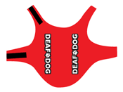 Deaf Dog thumbnail