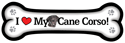 Cane Corso thumbnail