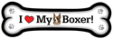 Boxer (clipped ears) thumbnail