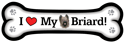 Briard thumbnail