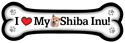 Shiba Inu thumbnail