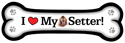 Irish Setter thumbnail