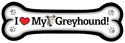 Greyhound thumbnail