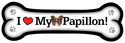 Papillon thumbnail