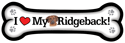 Rhodesian Ridgeback thumbnail