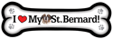 Saint Bernard thumbnail