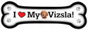 Vizsla thumbnail