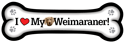 Weimaraner thumbnail