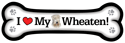 Wheaten thumbnail