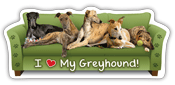 Greyhound thumbnail