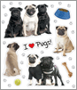 Pugs thumbnail