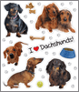 Dachshund thumbnail