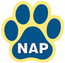 Agility - NAP thumbnail