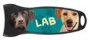 LAB (teal) thumbnail