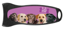 Labs (purple) thumbnail