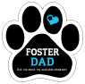 Foster Dad thumbnail