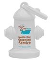 White Hydrant thumbnail
