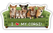 Corgi thumbnail