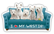 Westie Couch Pawtato thumbnail