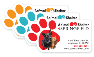Pets in Paw (dog and cat) thumbnail