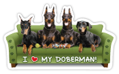 Doberman Couch Pawtato thumbnail
