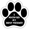 I adopted my Best Friend thumbnail
