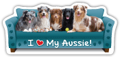 Aussie Couch Pawtato thumbnail