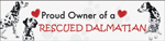 Bumper-Rescued Dalmatian thumbnail