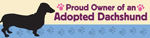 Bumper-Adopted Dachshund thumbnail