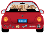 Chessie thumbnail