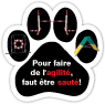 Agilité (FRENCH) thumbnail