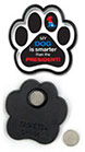 Smarter than president-Dog thumbnail