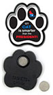 Smarter than President-Cat thumbnail