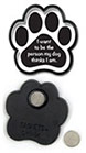 person my dog thinks I am thumbnail