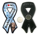 Boykin Spaniel thumbnail