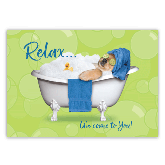 Spa Dog - Lime (relax) thumbnail
