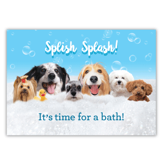 Dogs in Bubbles thumbnail