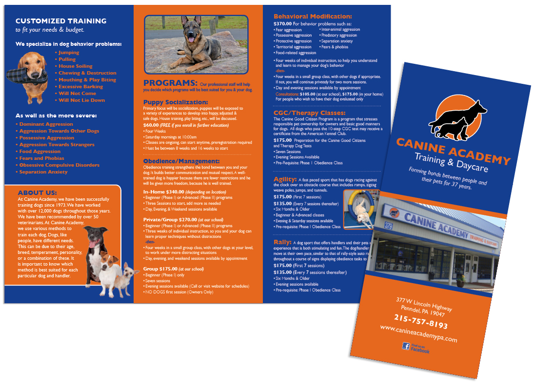 Dog Training thumbnail