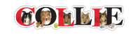 Collie thumbnail