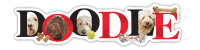 Labradoodle thumbnail