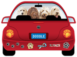Labradoodle thumbnail