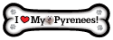 Great Pyrenees thumbnail