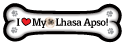 Lhasa Apso thumbnail