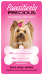 Yorkie thumbnail