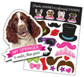 Springer Spaniel thumbnail