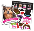Sheltie thumbnail